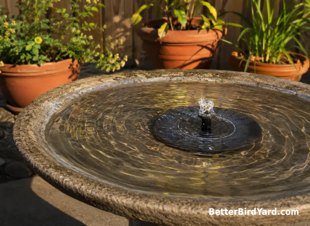 A small solar bubbler makes gentle ripples in a shallow bird bath.