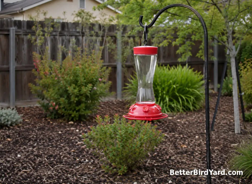 An empty clean hummingbird feeder hangs in a quiet backyard garden area.