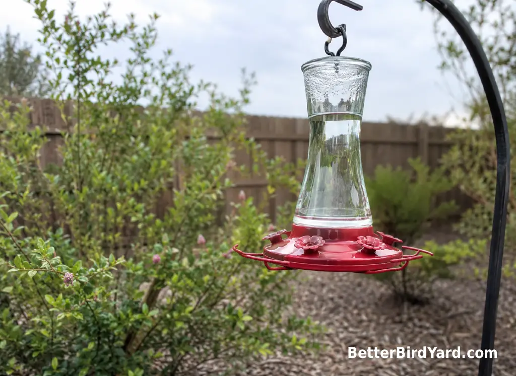 A clean hummingbird feeder hangs in open space near native shrubs on a small patio.