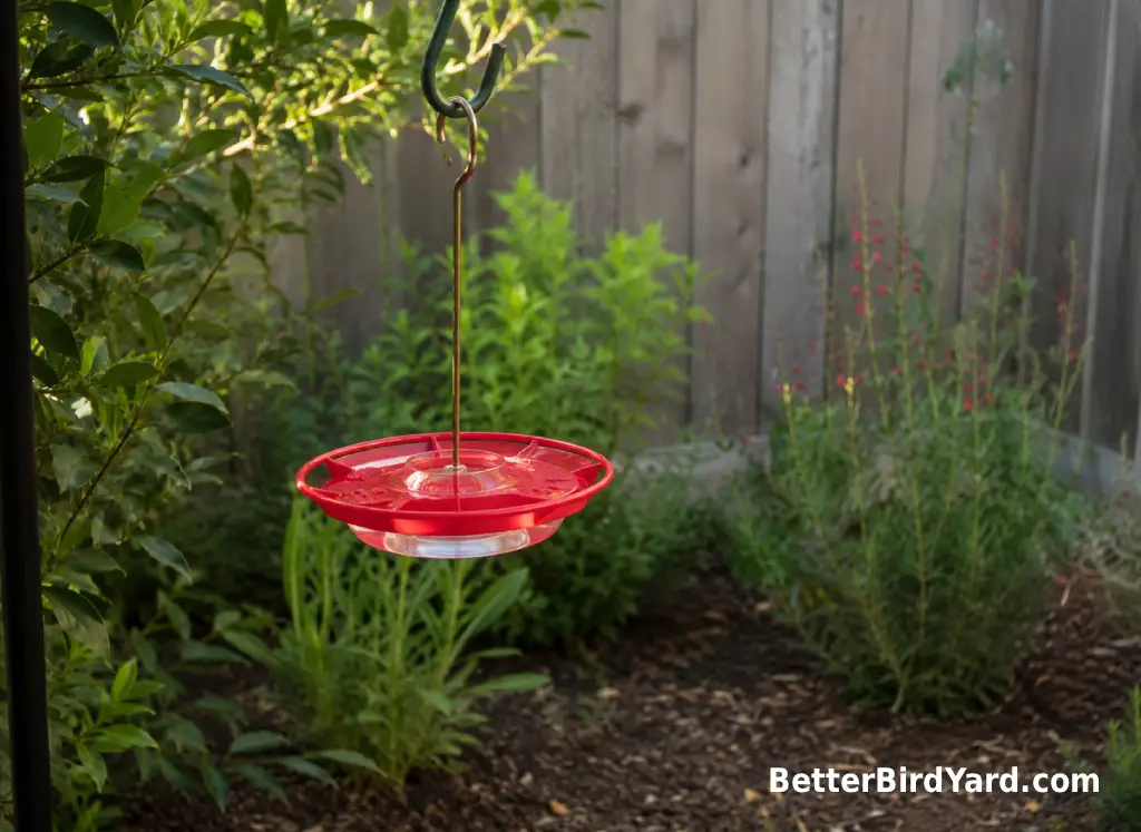 A clean saucer hummingbird feeder hangs in light shade near native plants and a fence.