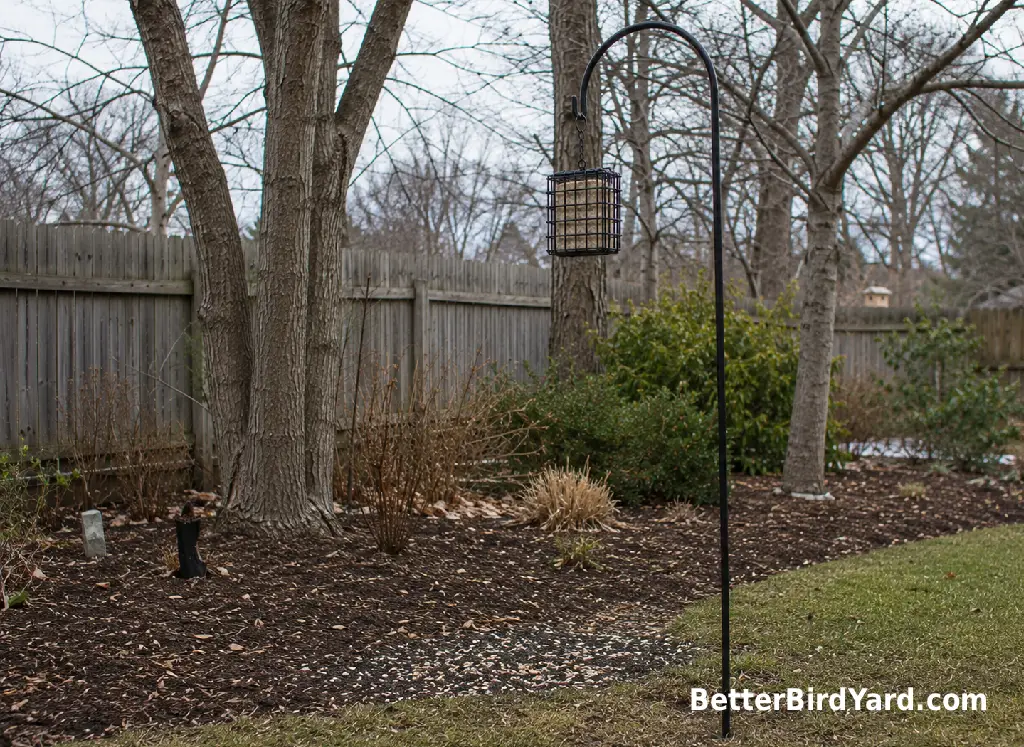 A quiet winter suet feeder hangs near bare trees and native shrubs.
