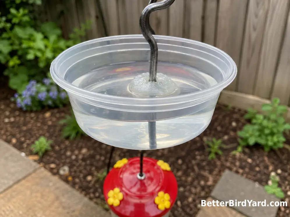A homemade water-filled ant moat made from a small plastic cup and metal hanger hangs above a feeder.