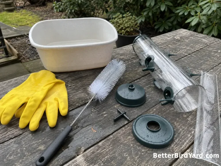A feeder-cleaning brush, gloves, bucket, and disassembled tube feeder are arranged on an outdoor worktable.