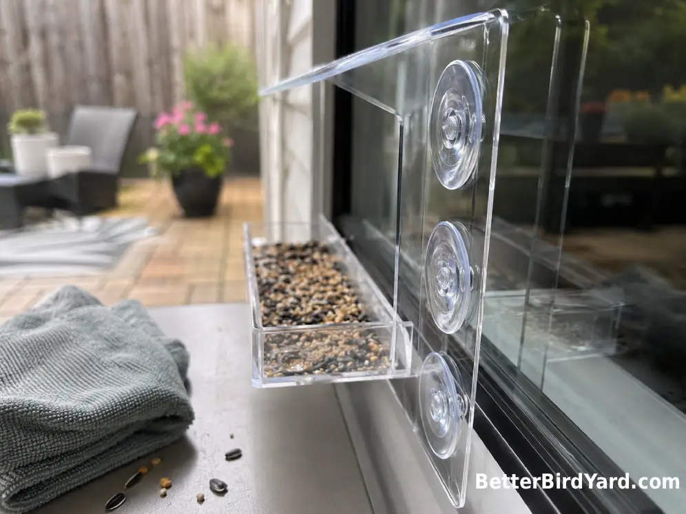 Three clean suction cups hold a small acrylic bird feeder firmly against an exterior window.